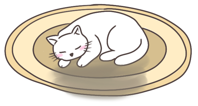 Cat resting on a golden rug